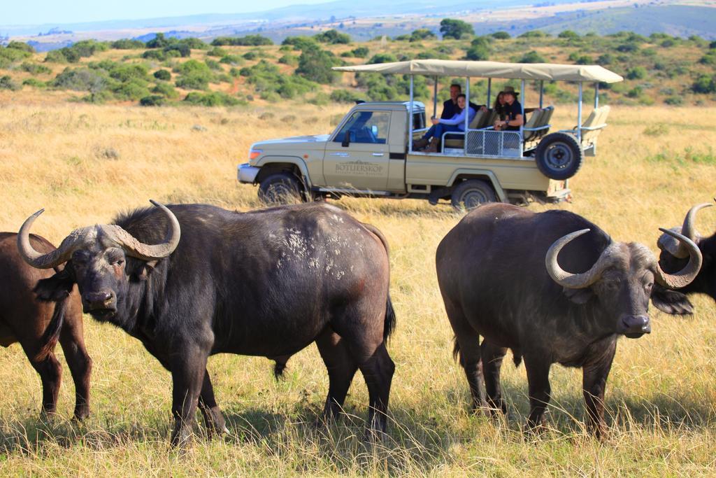 Botlierskop Bush Villas Sandhoogte Esterno foto