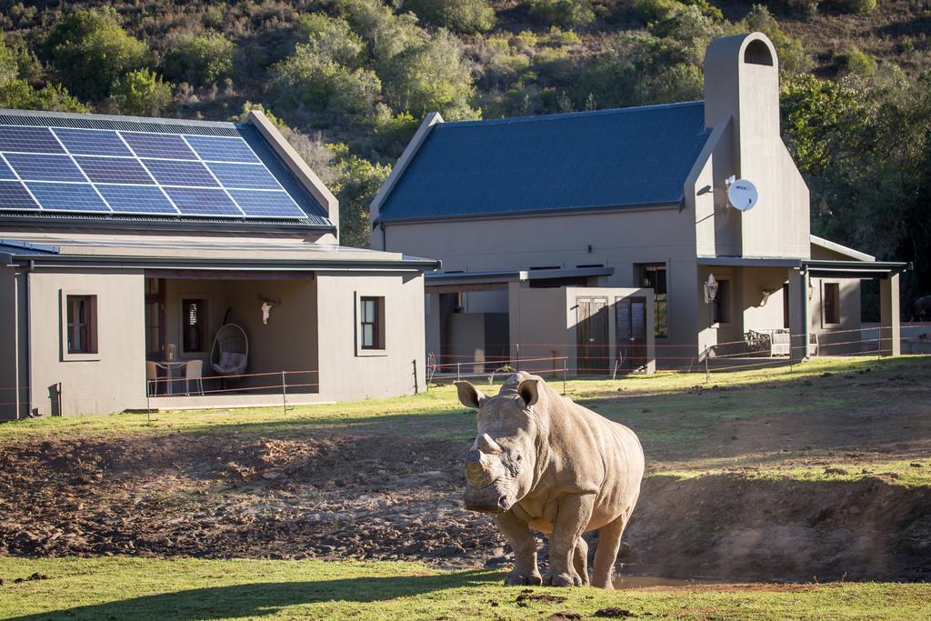 Botlierskop Bush Villas Sandhoogte Esterno foto