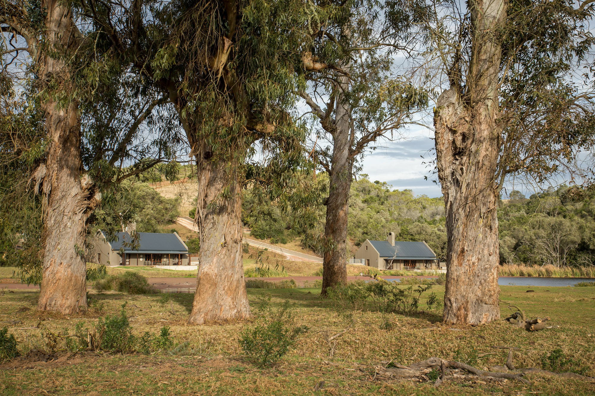 Botlierskop Bush Villas Sandhoogte Esterno foto