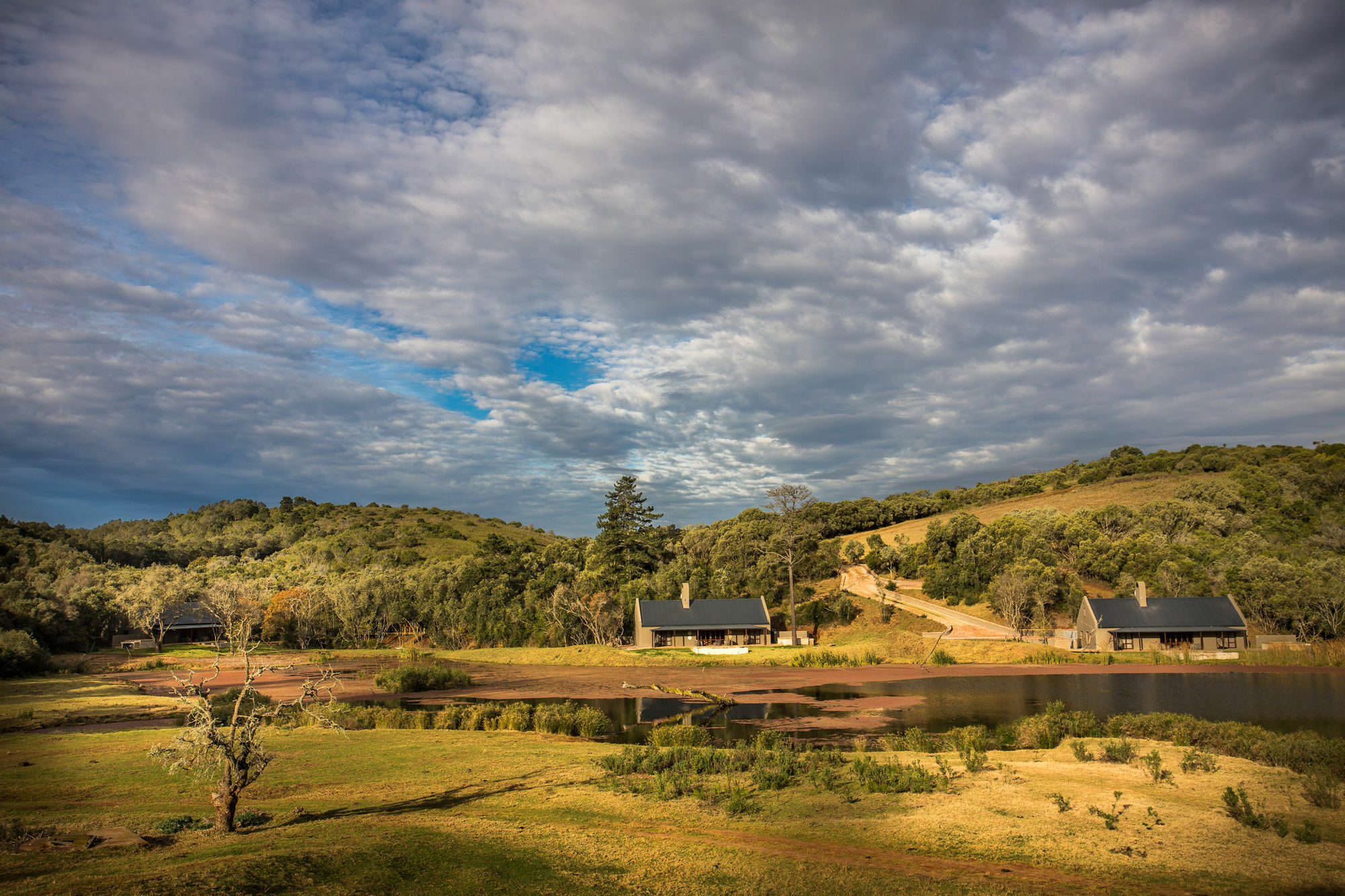 Botlierskop Bush Villas Sandhoogte Esterno foto